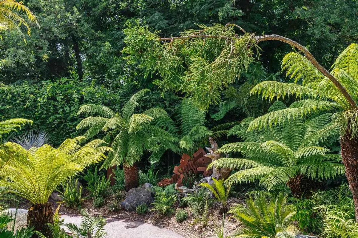Jurassic Plantes - Rencontre et dédicaces au jardin personnel d'André Eve