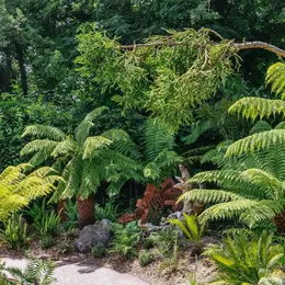 Jurassic Plantes - Rencontre et dédicaces au jardin personnel d'André Eve