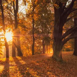 Jusqu'à 21 °C en Alsace : un air de printemps va revenir cette semaine !