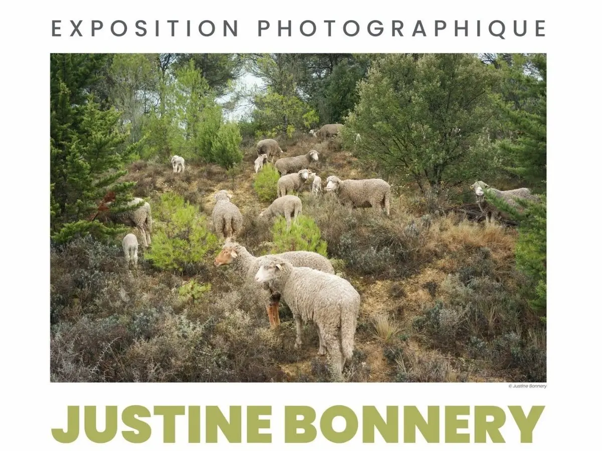 Justine Bonnery Chroniques Rurales
