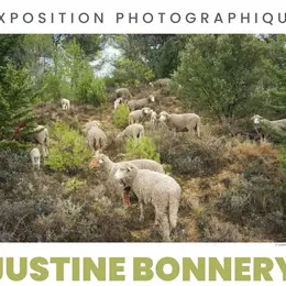 Justine Bonnery Chroniques Rurales