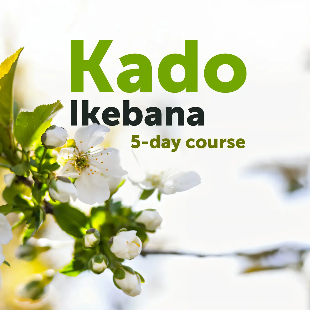 Kado-Ikebana - stage au centre Shambhala