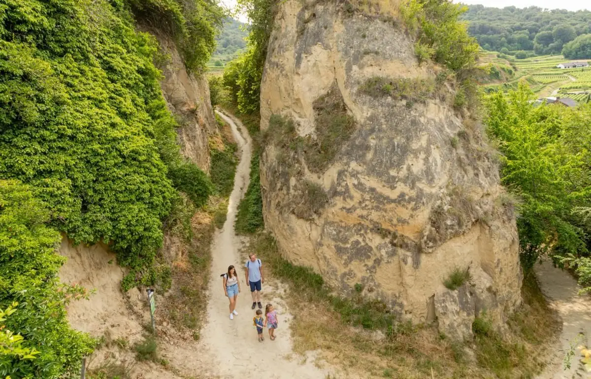 Des paysages de toute sorte dans le jardin naturel du Kaiserstuhl