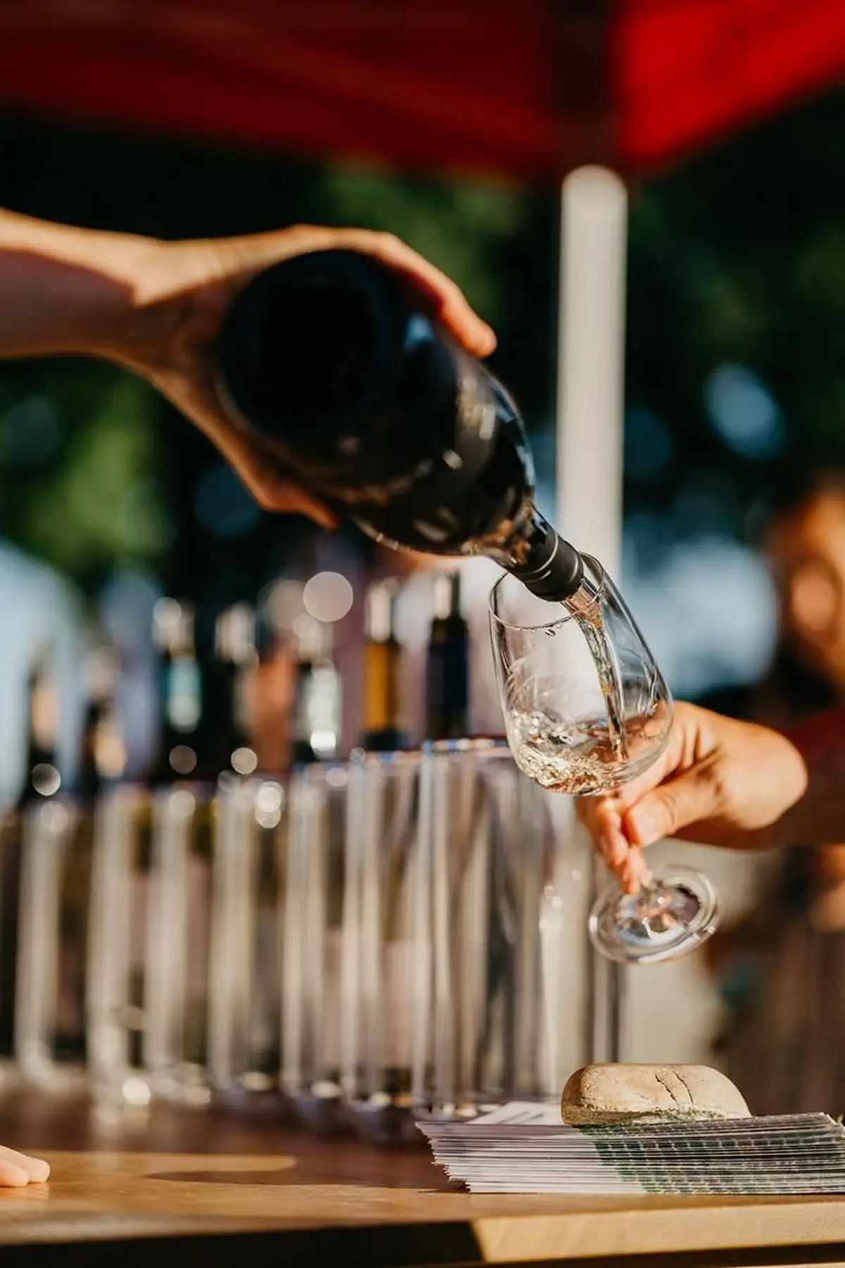 Dégustez des vins locaux