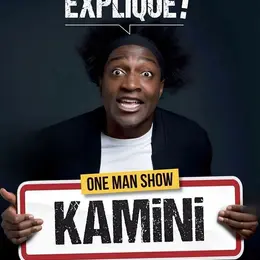 Kamini dans lI faut que je vous explique !