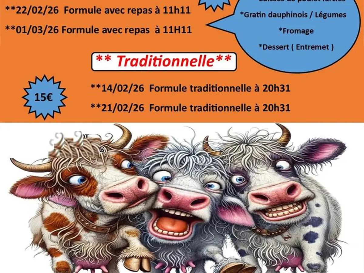 Kappensitzung - Die Plattfies of de Alm