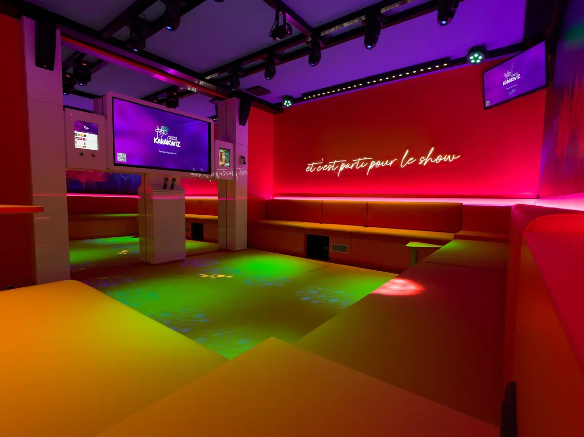 Ecran, lumières : tout y est pour la soirée karaoké 🎤