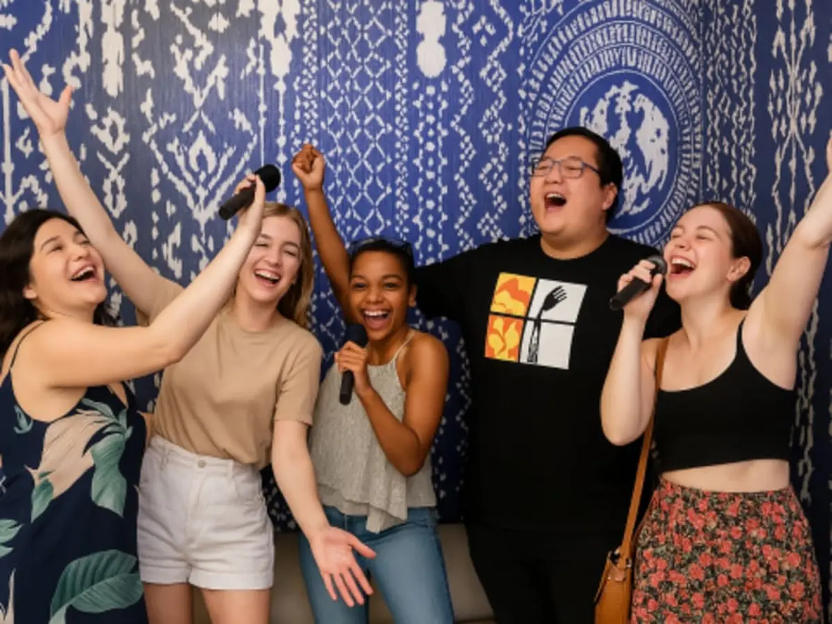 Karaoké Box à Toulouse (31)