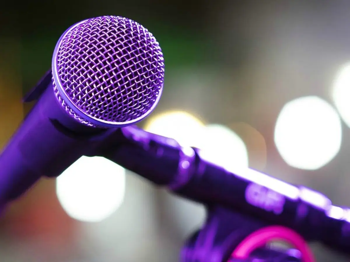 Karaoké party à Saint Laurent d'Arce