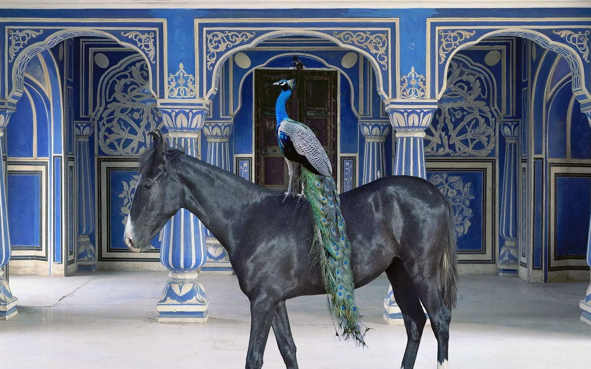 India Song, 044 Sikander’s Entrance, Chandra Mahal, Jaipur City Palace, Jaipur, 2013 © Karen Knorr