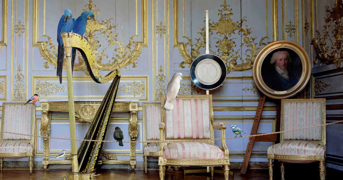 Karen Knorr habite le château