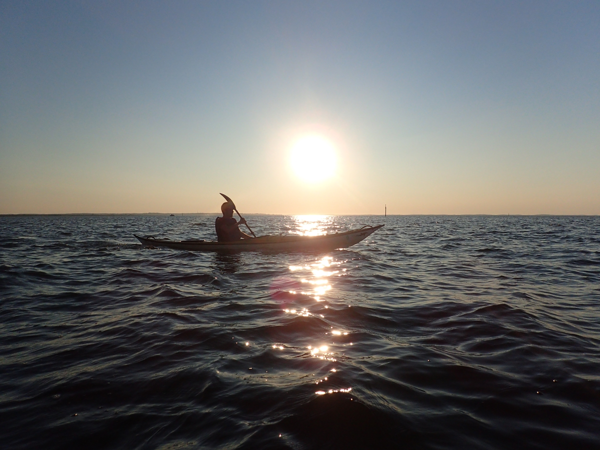 Kayak de mer à l'île aux oiseaux ou à la dune du Pilat