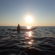 Kayak de mer à l'île aux oiseaux ou à la dune du Pilat