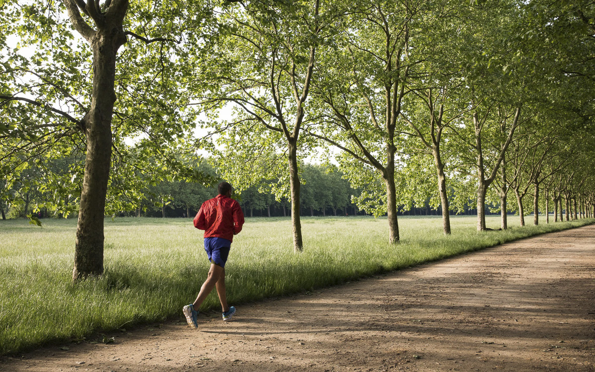Coureur dans le bois de Vincennes.