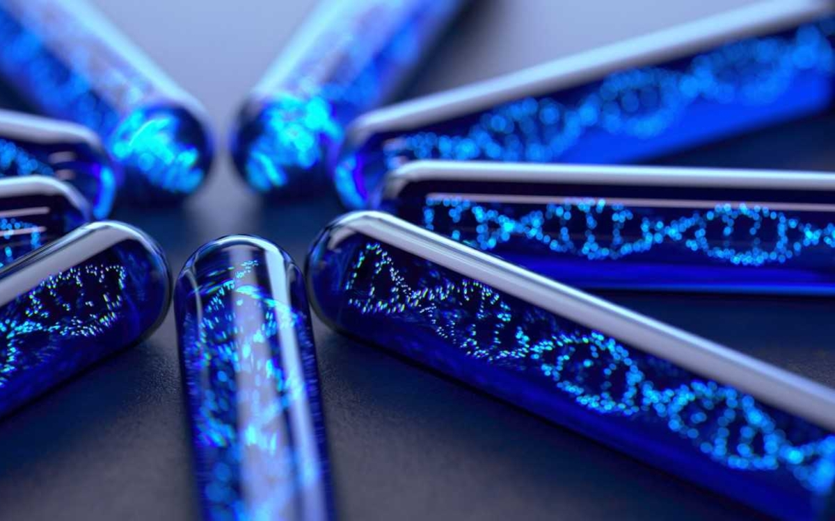 Véritable mémoire biologique, l’ADN enregistre les traces de notre histoire personnelle, de notre environnement et des agressions subies par notre corps tout au long de notre vie.