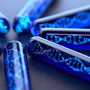 Kiosques en Fête 2026 : Plongez au cœur de l’ADN !