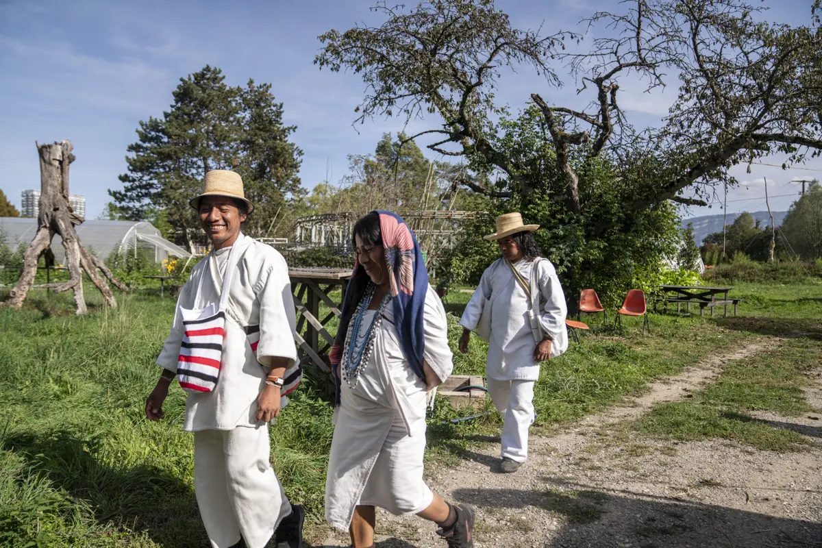 Kogis, ensemble pour soigner la terre - Rencontre