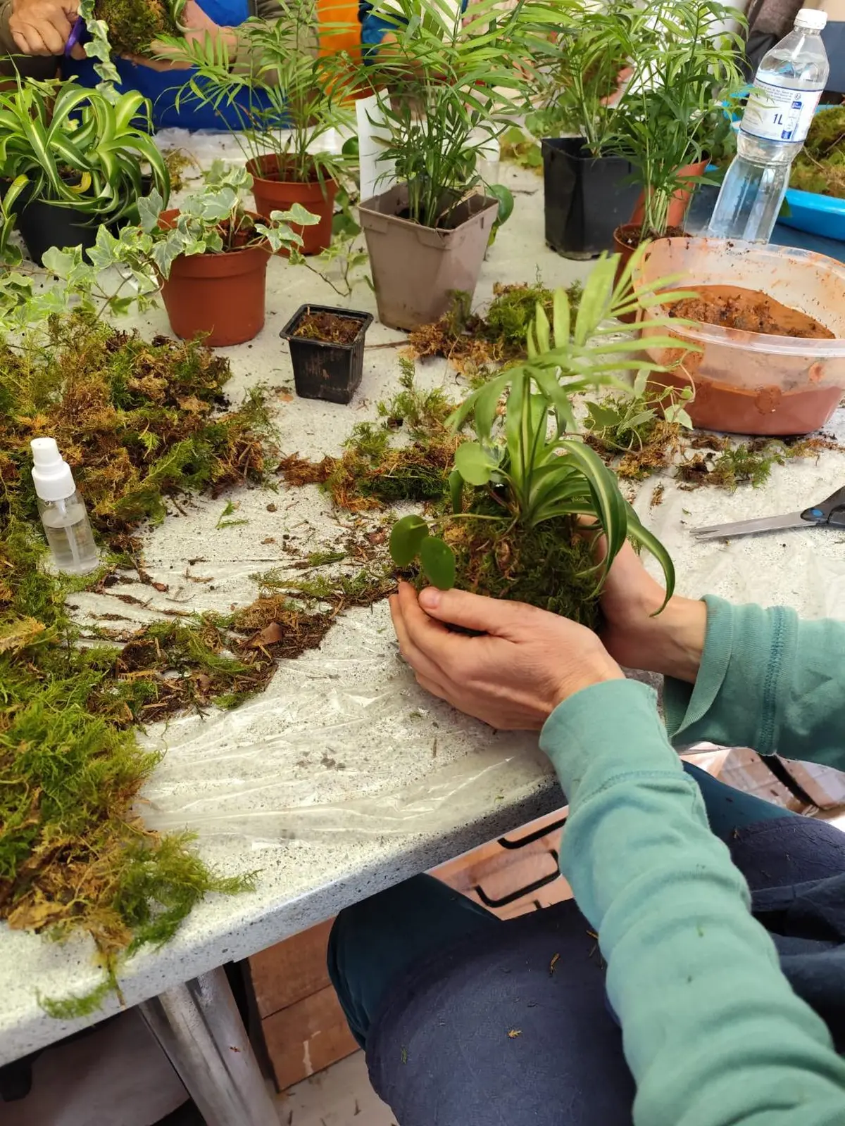 Kokedama Et Son écrin En Céramique