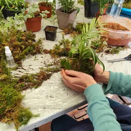 Kokedama Et Son écrin En Céramique