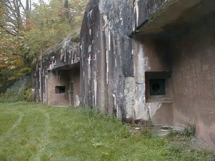 L\'abri du Heindenbuckel est un des plus grands abris de surface de la Ligne Maginot