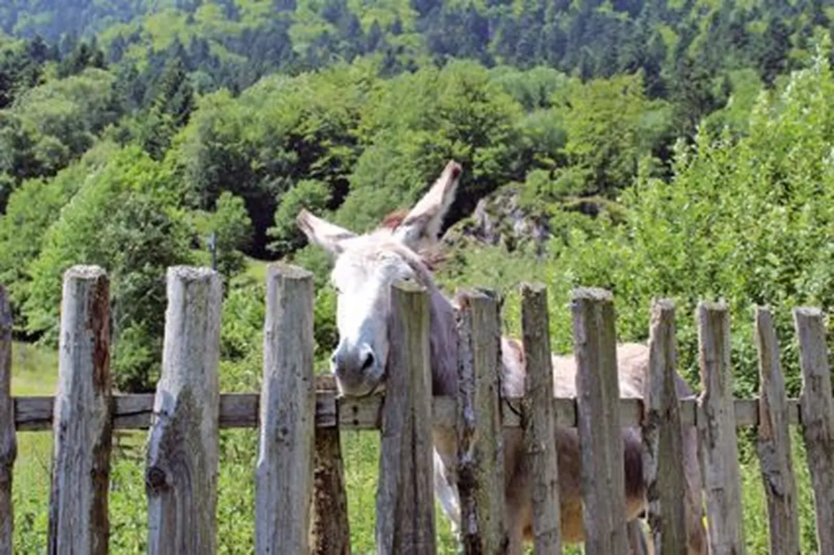 L'accueil est original !