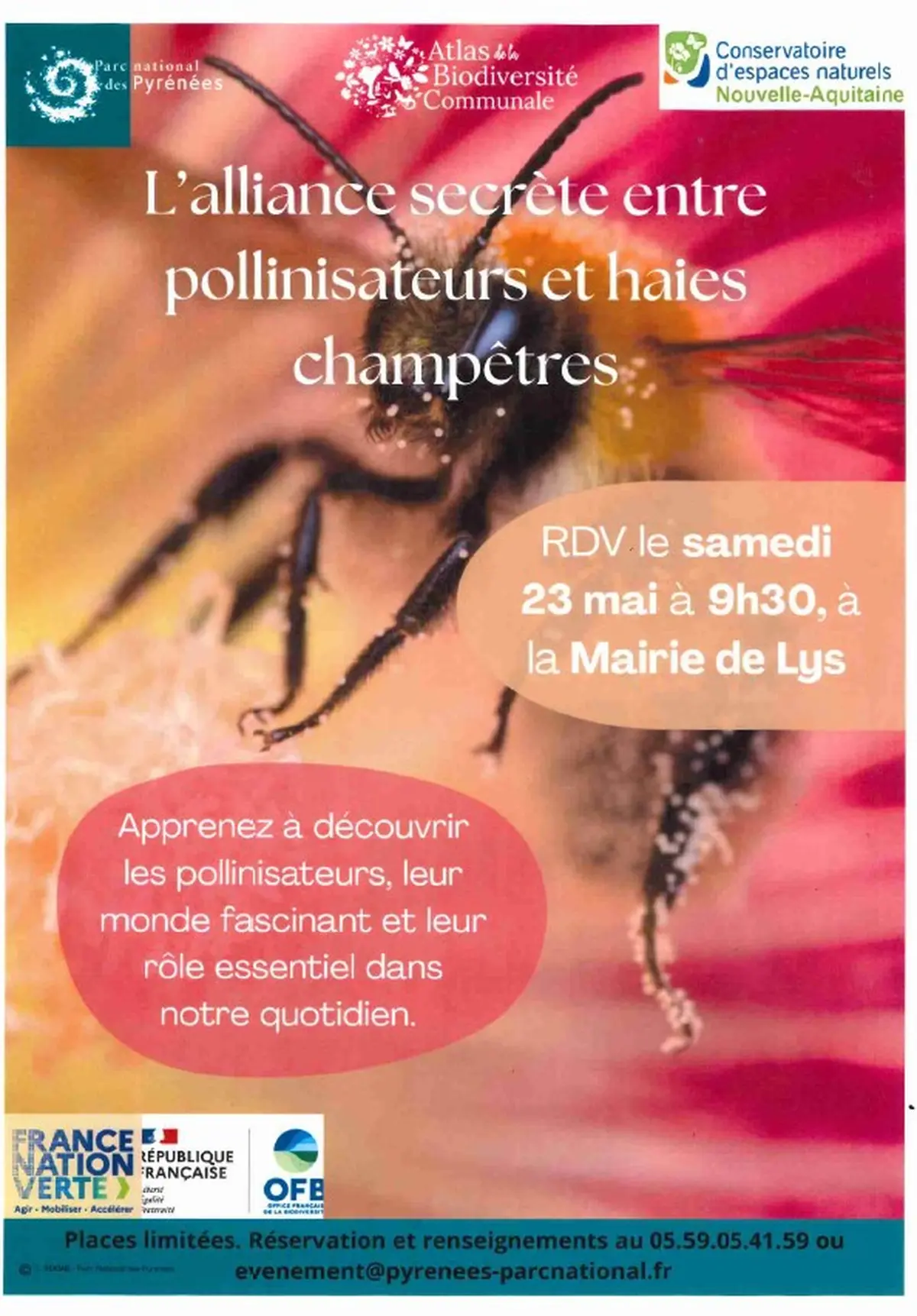 L'alliance secrète entre pollinisateurs et haies champêtres