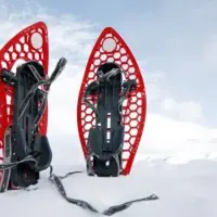 L'Alsacienne de raquettes DR