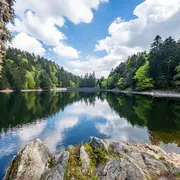5 lacs vosgiens à ne pas manquer !