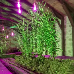 L'ANTIDOTE - Exposition : Banquet Vert