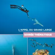 L'appel du grand large : plongée au cœur de l'océan