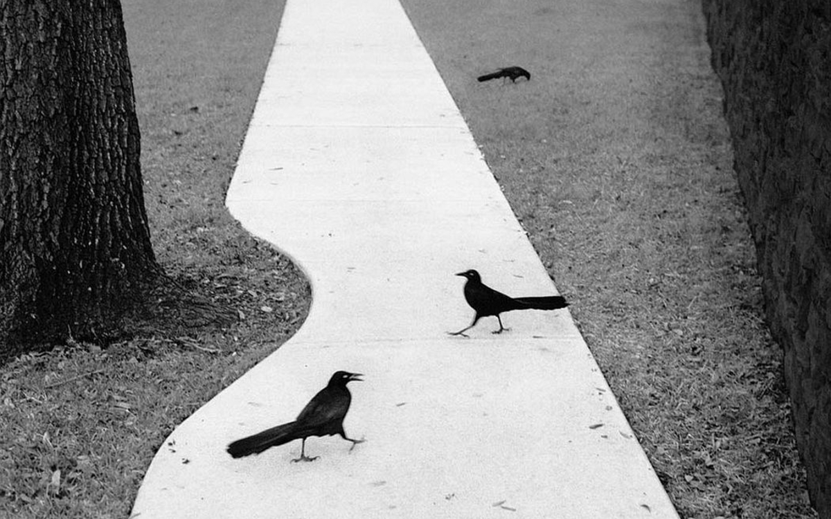 L'approche du monde critique