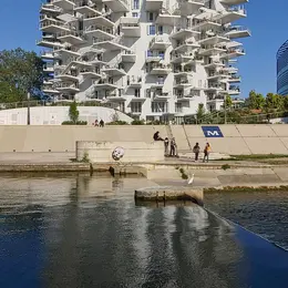 L'Arbre blanc
