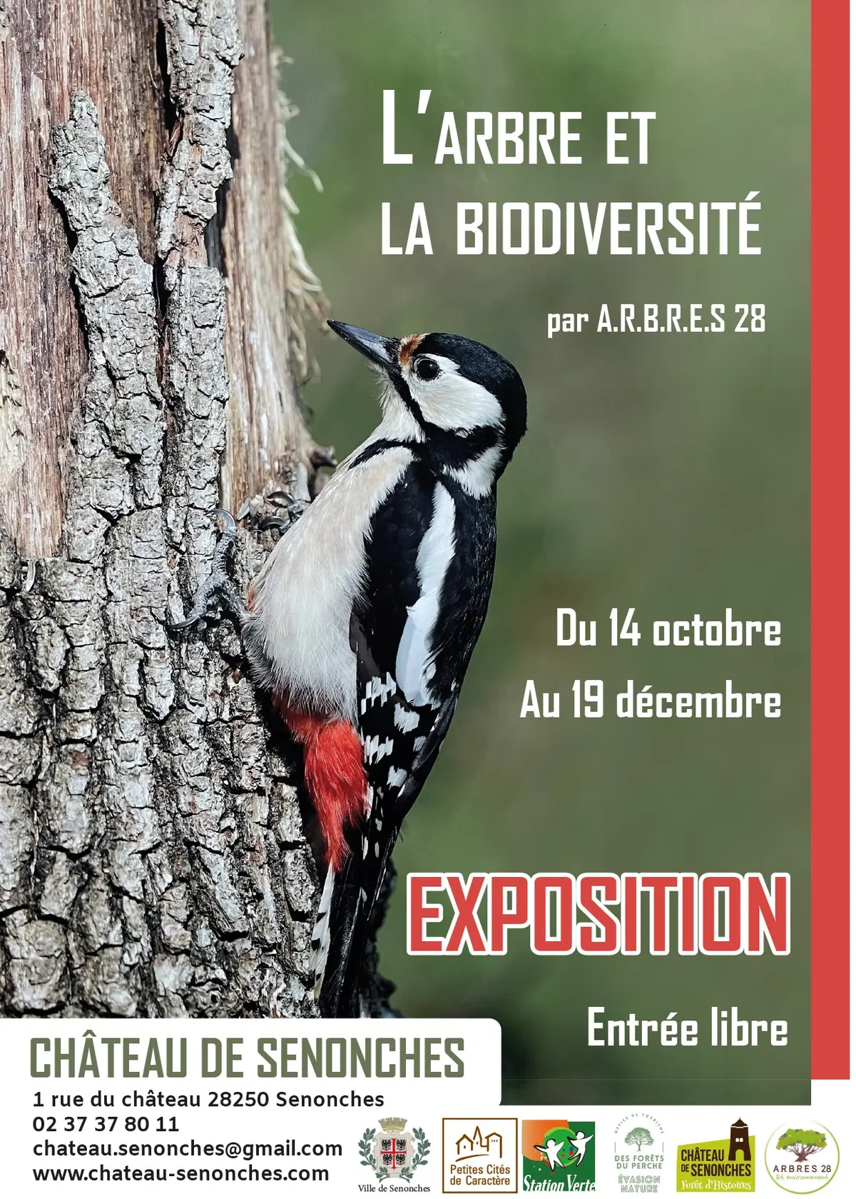 L'arbre et la biodiversité - Exposition