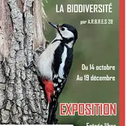 L'arbre et la biodiversité - Exposition