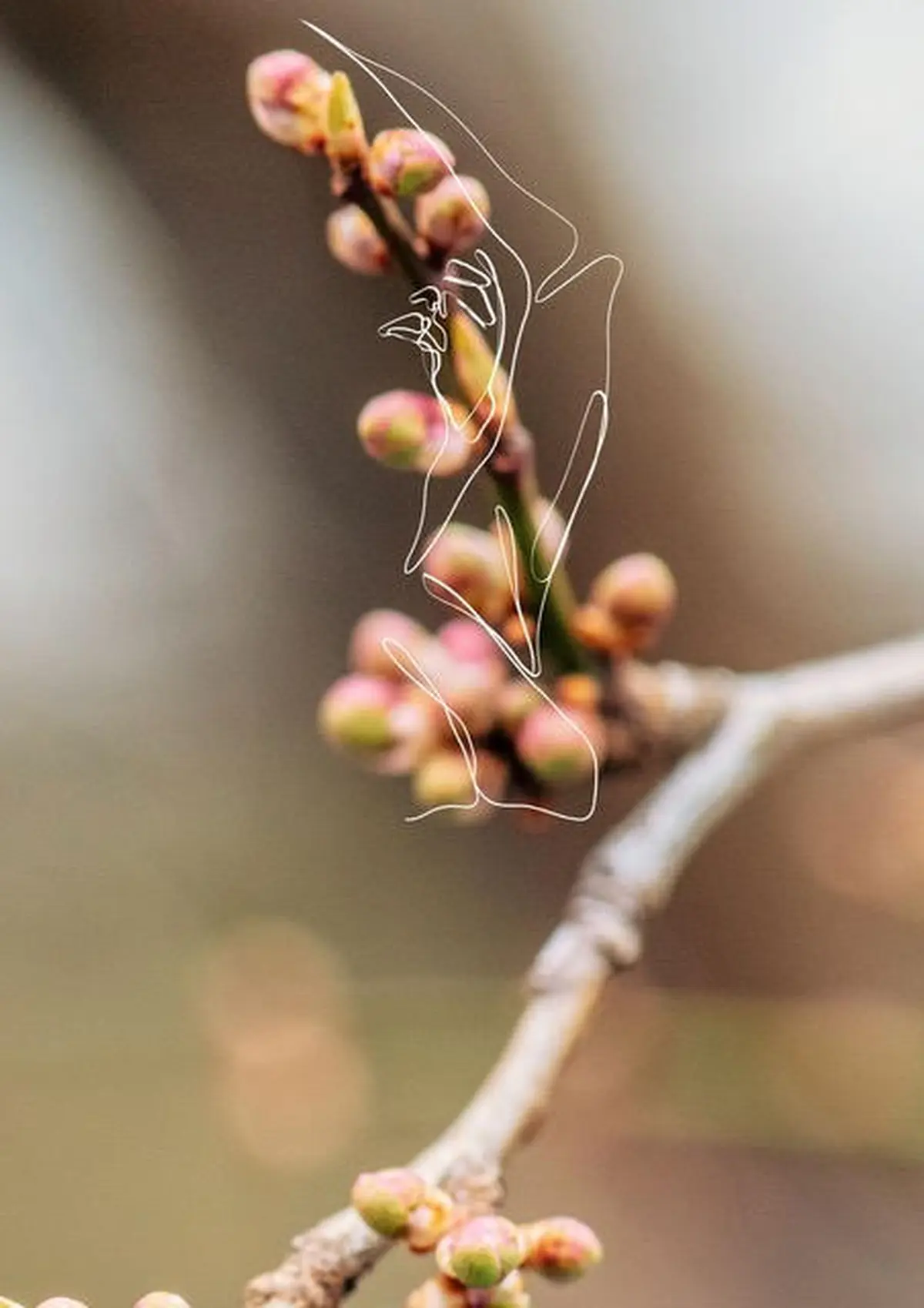 L'arbre souffle près du rocher d'argent qui dort un joli soir de printemps