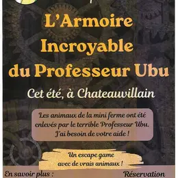 L'armoire incroyable du Professeur Ubu