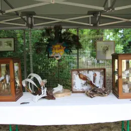 L'art au jardin