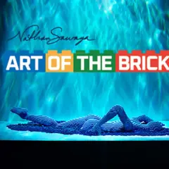 L'Art of the Brick à Nantes : Billet d'entrée