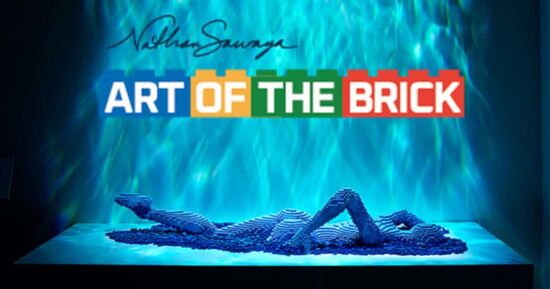 L'Art of the Brick &agrave; Nantes : Billet d'entr&eacute;e