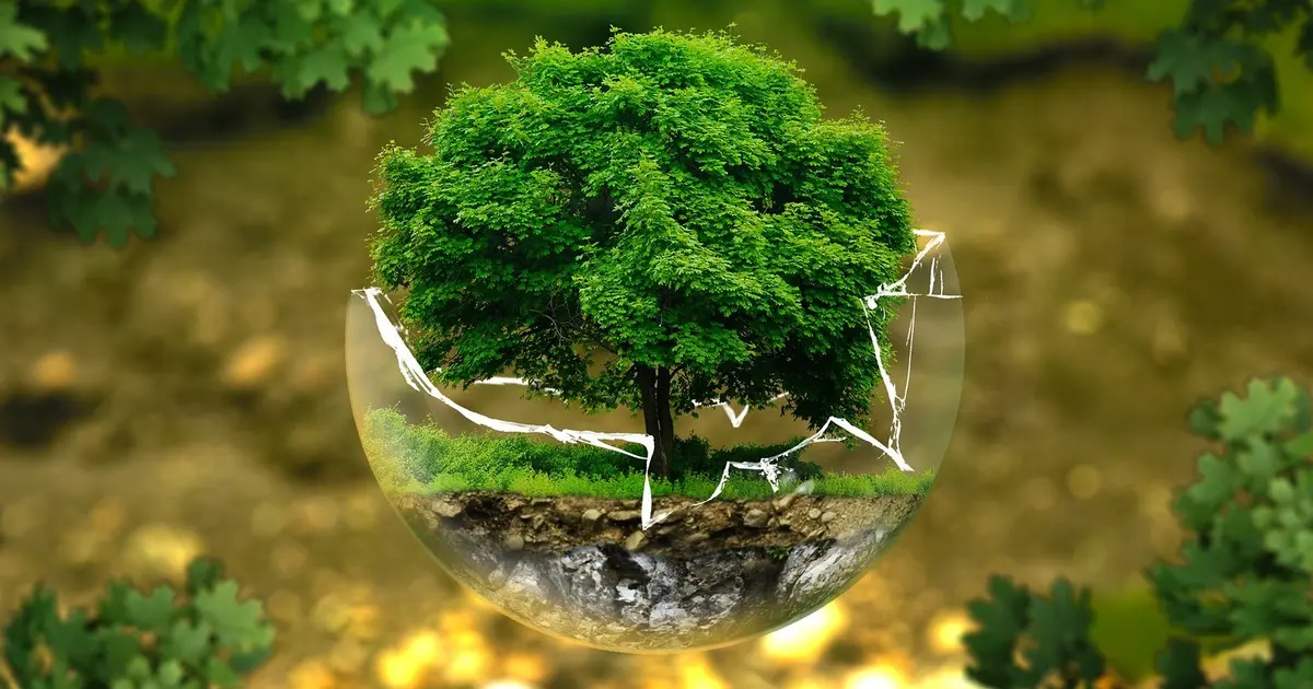 L'artificialisation des sols : comment inverser la tendance ?