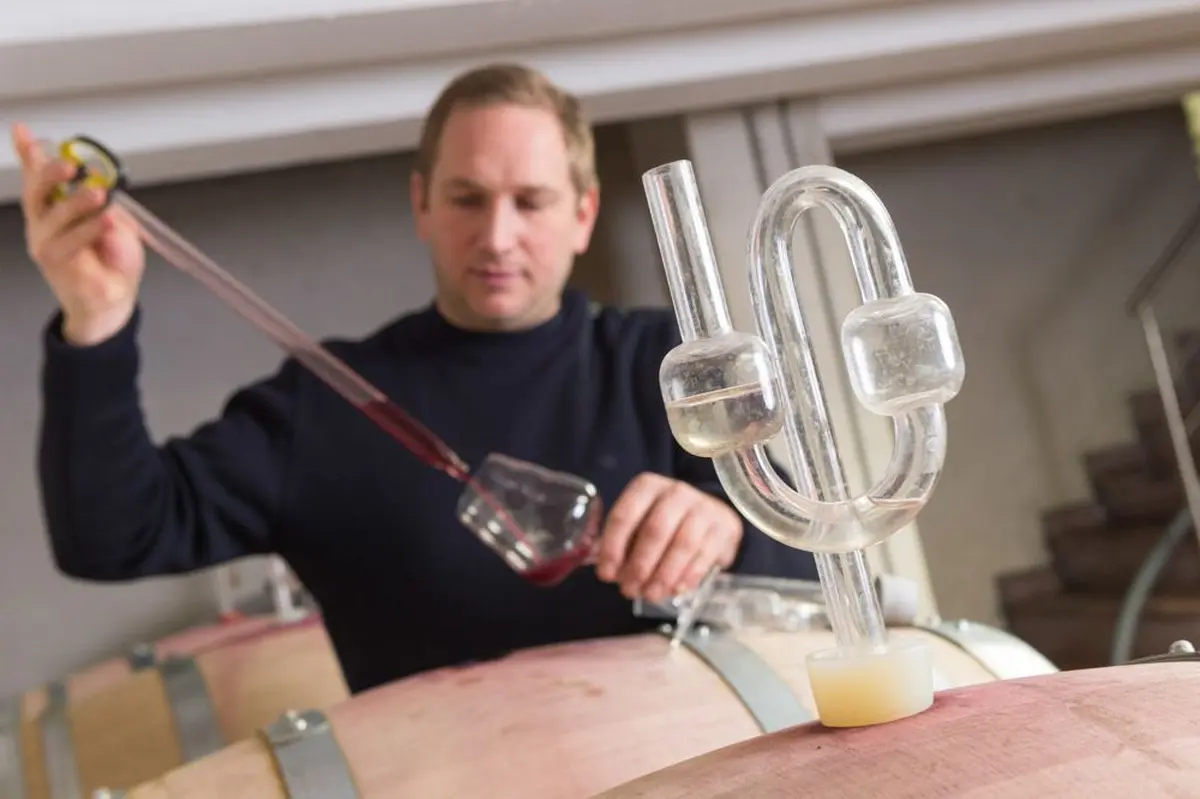 Jean-Paul Zusslin en vinif'