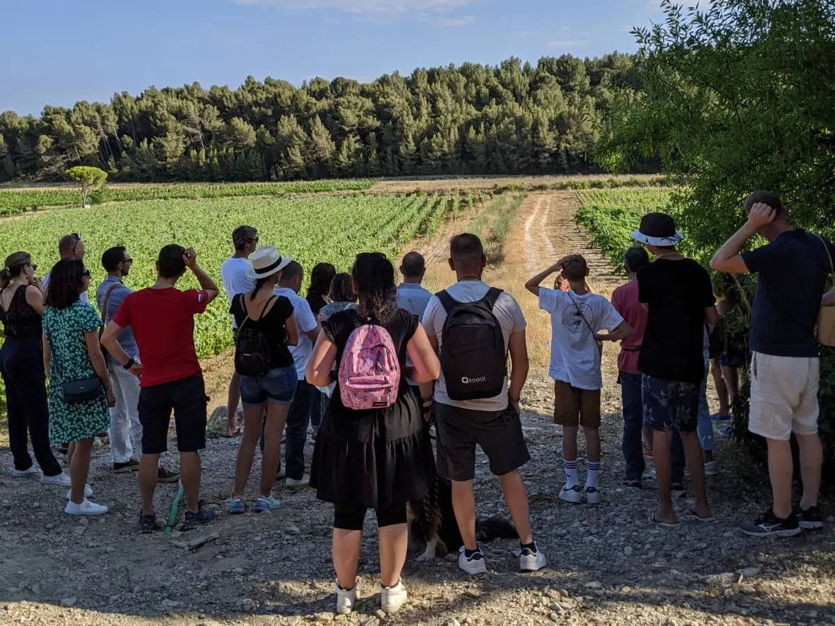 L’ascension Vigneronne - Château La Négly