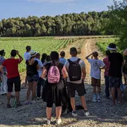 L’ascension Vigneronne - Château La Négly