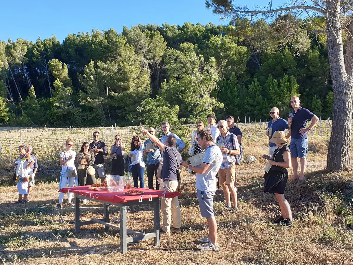 L’ascension Vigneronne - Château La Négly Fleury 2026 : date, horaires ...