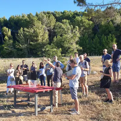 Narbonne : nos 7 idées sorties du week-end