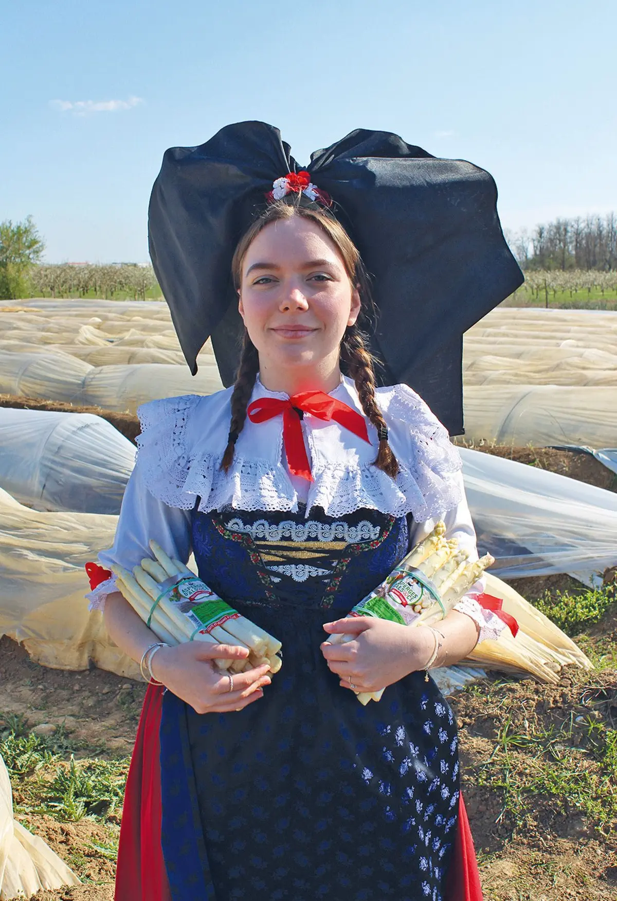 Les bonnes asperges d'Alsace !