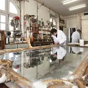 L'atelier de restauration d'antiquités
