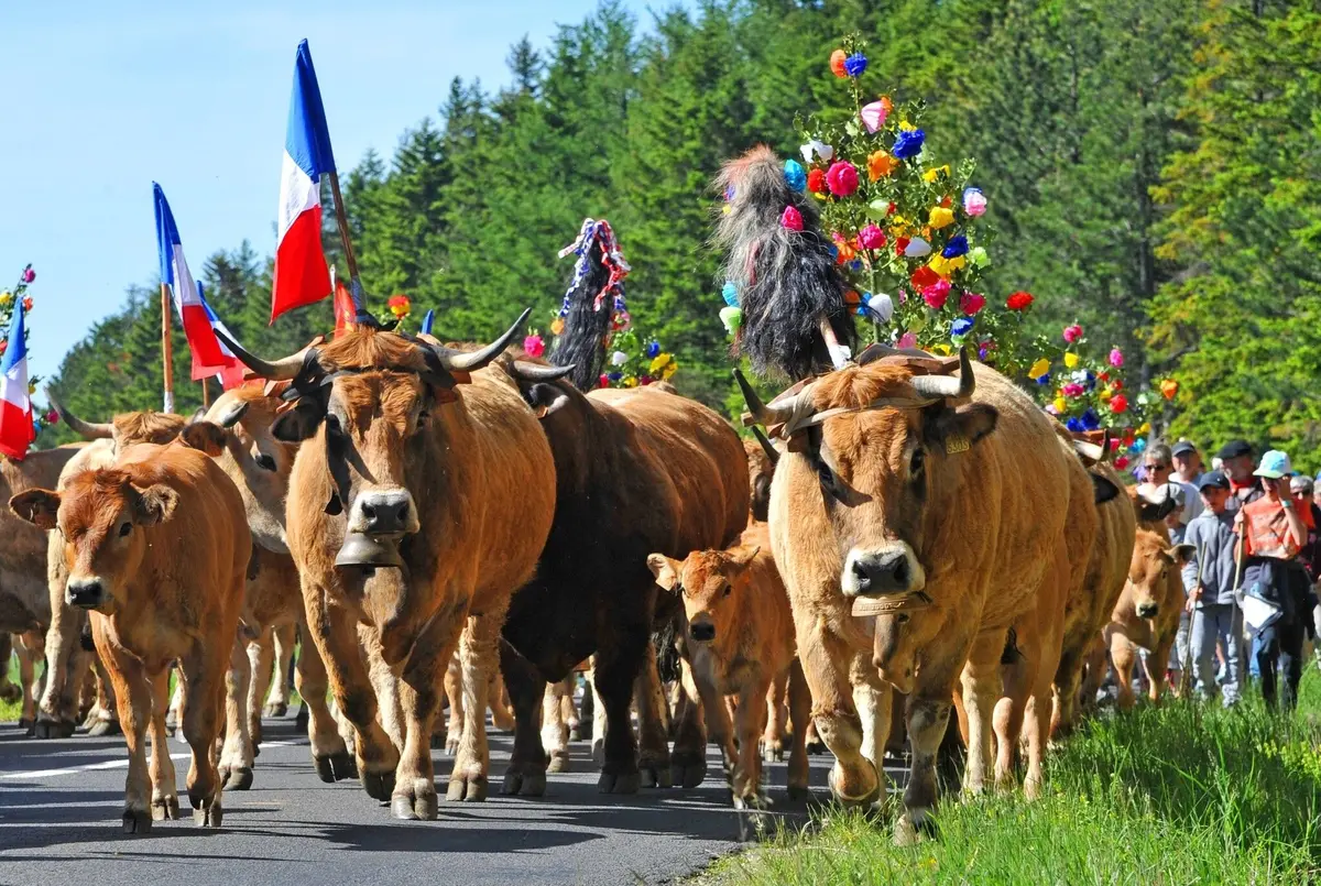 Une tradition qui ne perd rien de son charme 