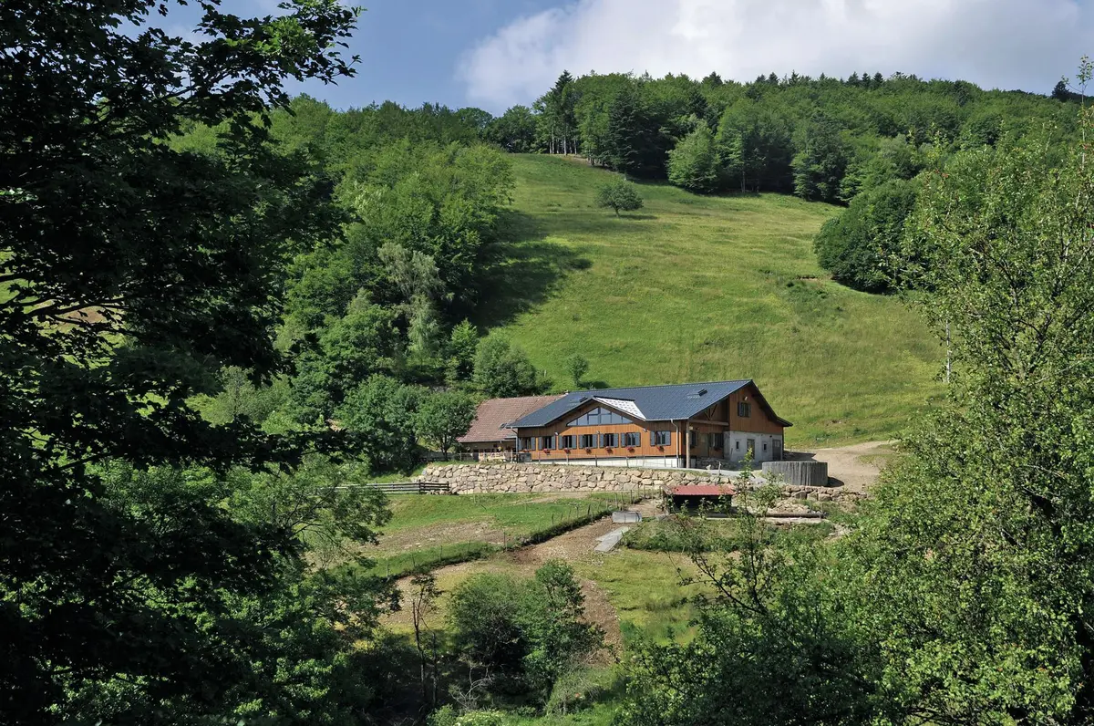 L'authentique auberge du Lochberg