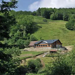 3 fermes-auberges pour se régaler au grand air !